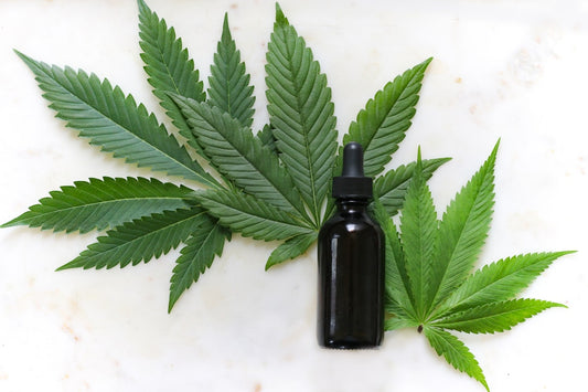 How Do You Take Hemp Tincture? Step-by-Step Instructions and Best Practices