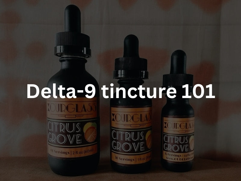 Delta 9 Tincture 101: Benefits, Uses, and How to Incorporate It into Your Life