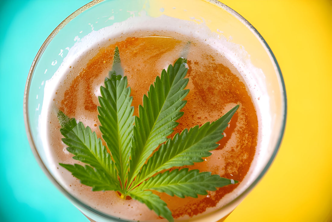 Discover the World of THC Beverages: THC Infused Beverages vs THC Beverage Enhancers, Everything You Need to Know