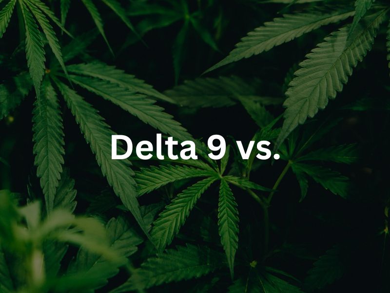 How Delta 9 Compares to Delta 8, HHC, THCA, Weed and Delta 10: A Detailed Guide