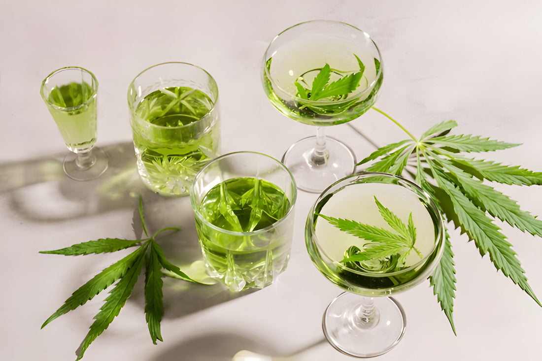 THC Drinks vs Edibles: Which is Right for You?